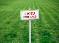 properties