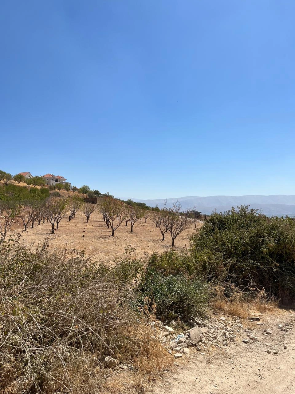 Maalaka aradi land 2198 sqm for sale