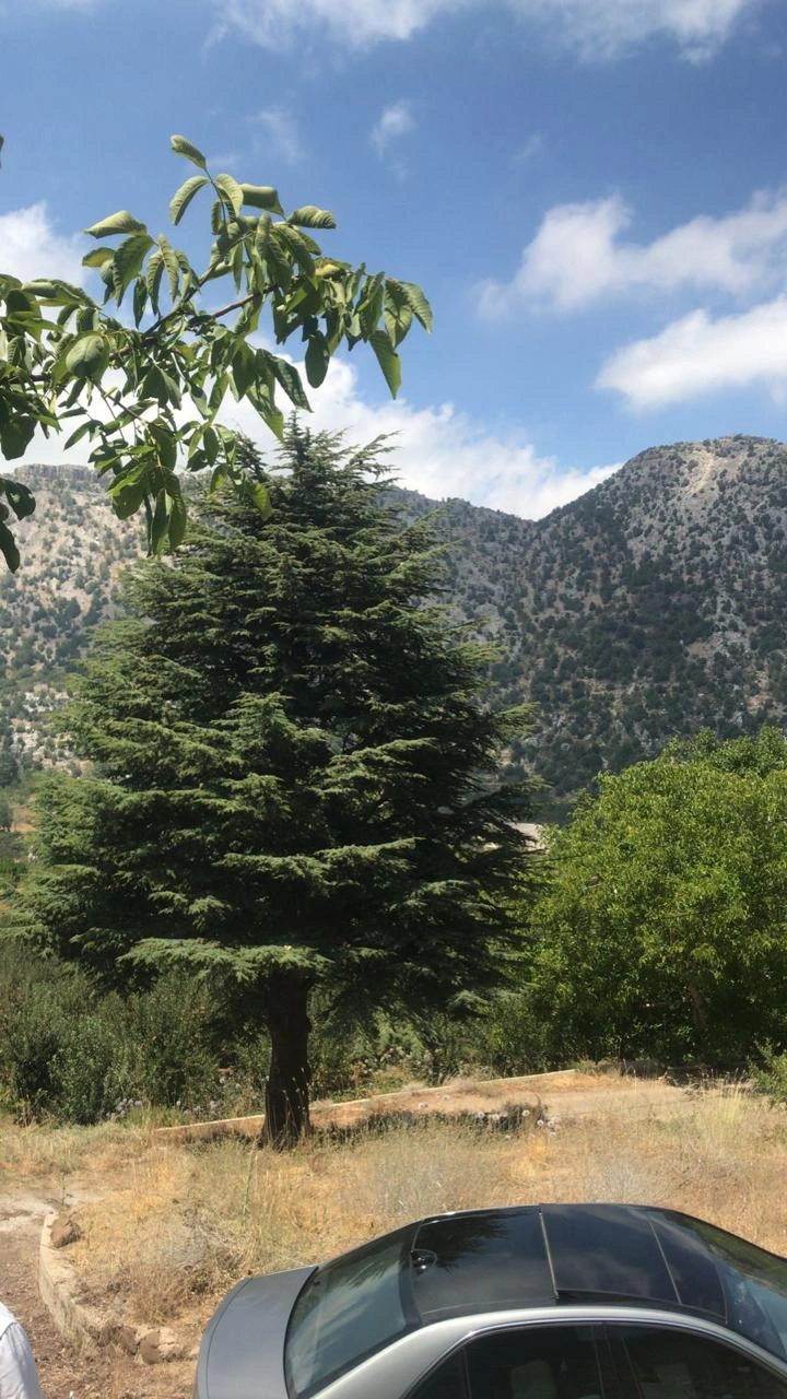 Land for sale in balaa – batroun